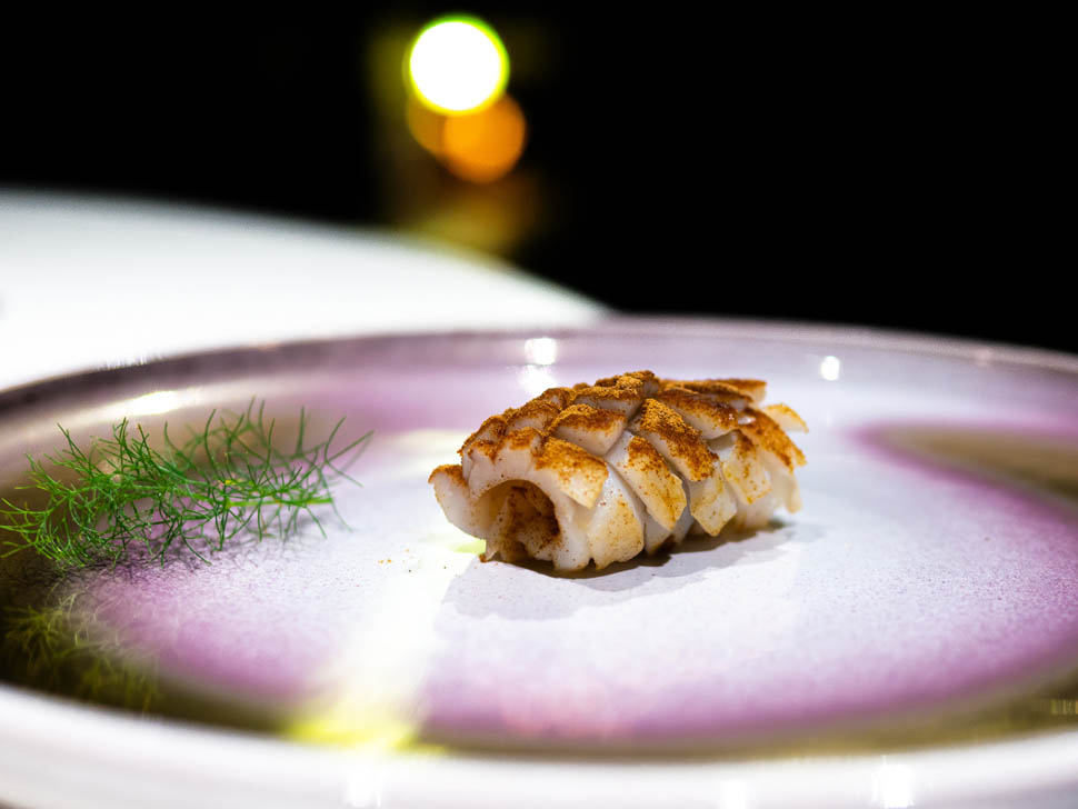 aquacrua 15 calamaro cordyceps