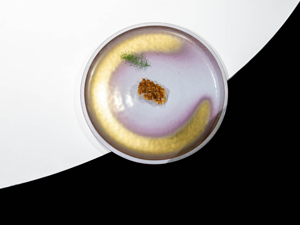 aquacrua 16 calamaro cordyceps