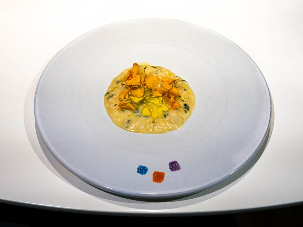 aquacrua 23 risotto tageta