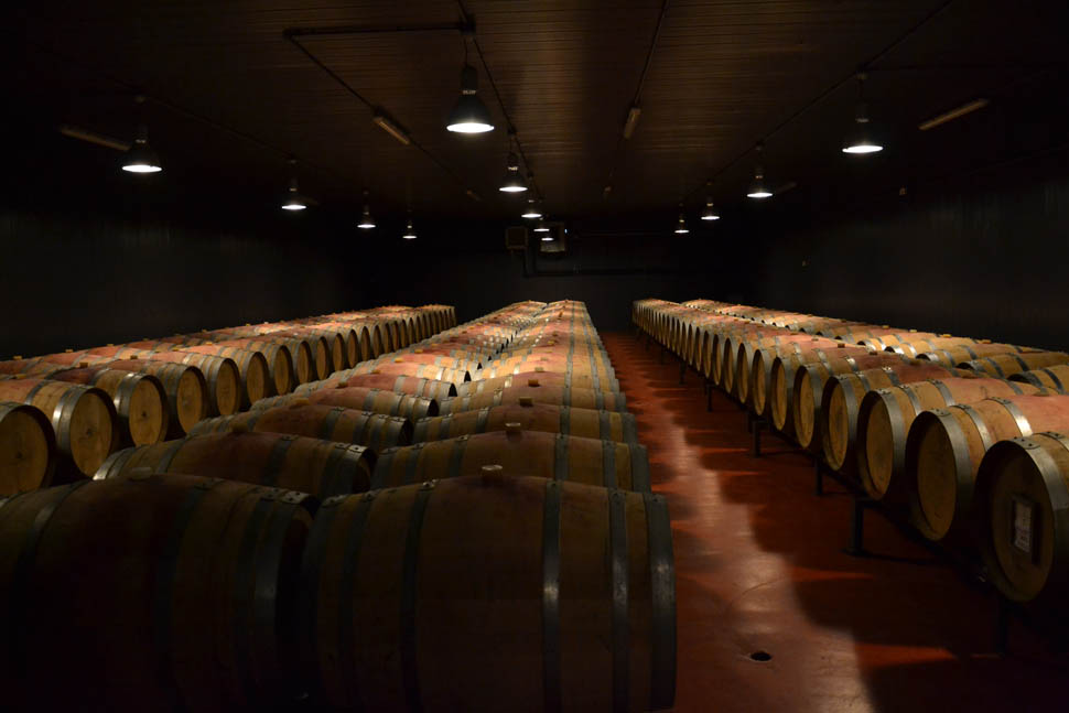 barricaia 2025 11 07 16 40 56