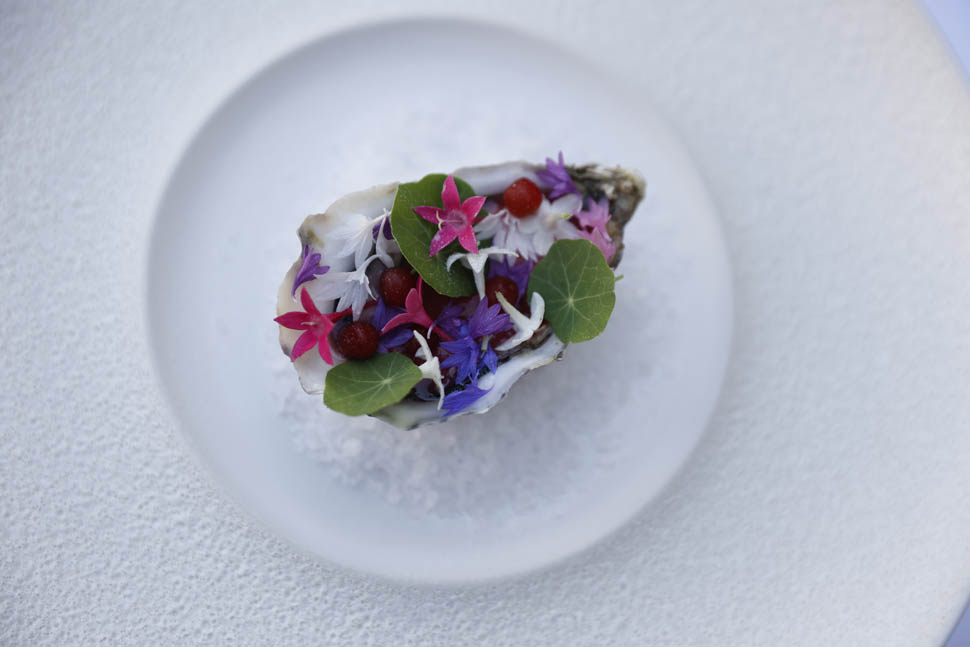 bite 1 2025 09 30 18 27 11