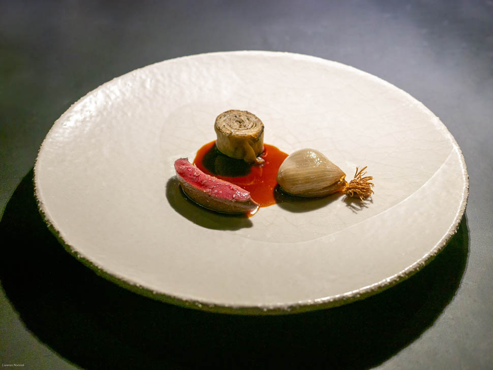 cap aureo 33 piccione