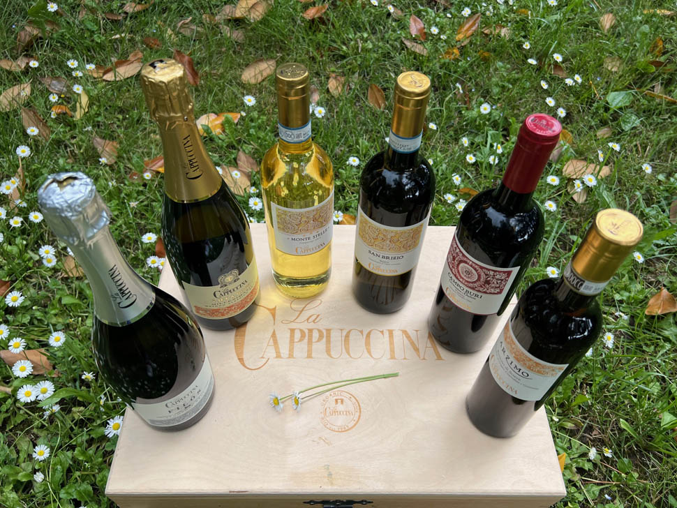 cappuccina wines