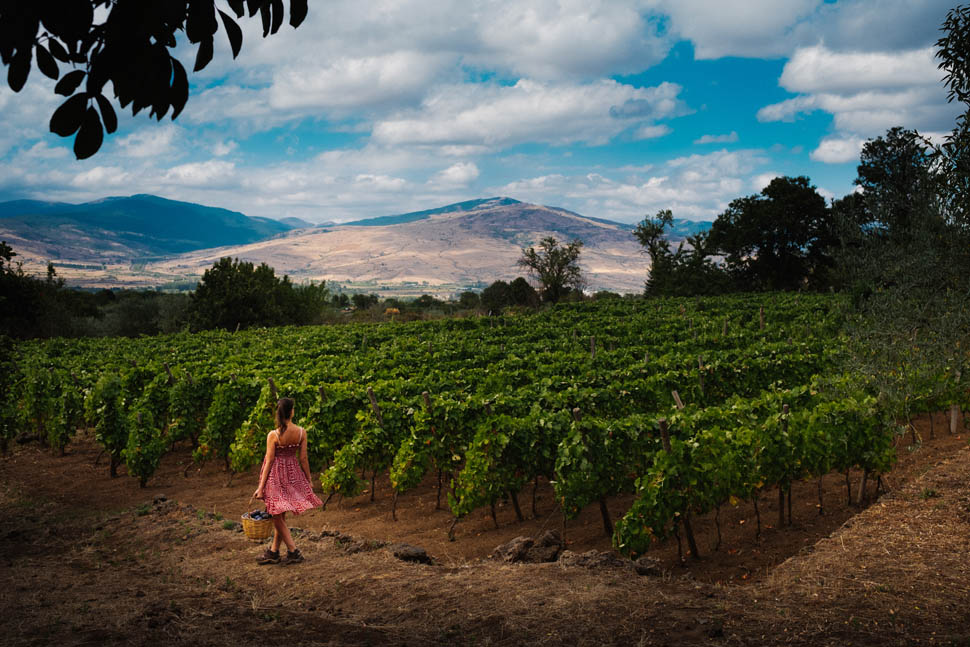 casa decima vineyard me