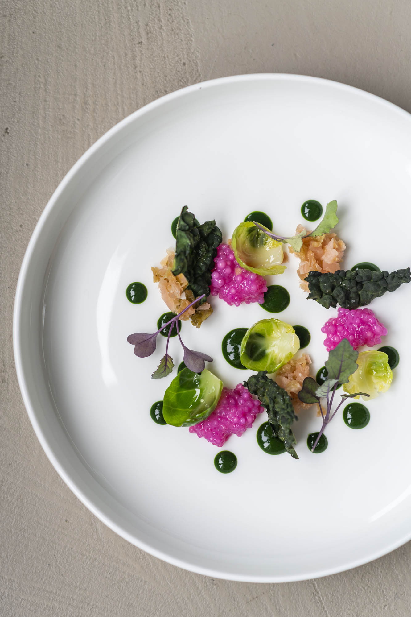 coltivare 4 2026 03 24 13 50 20