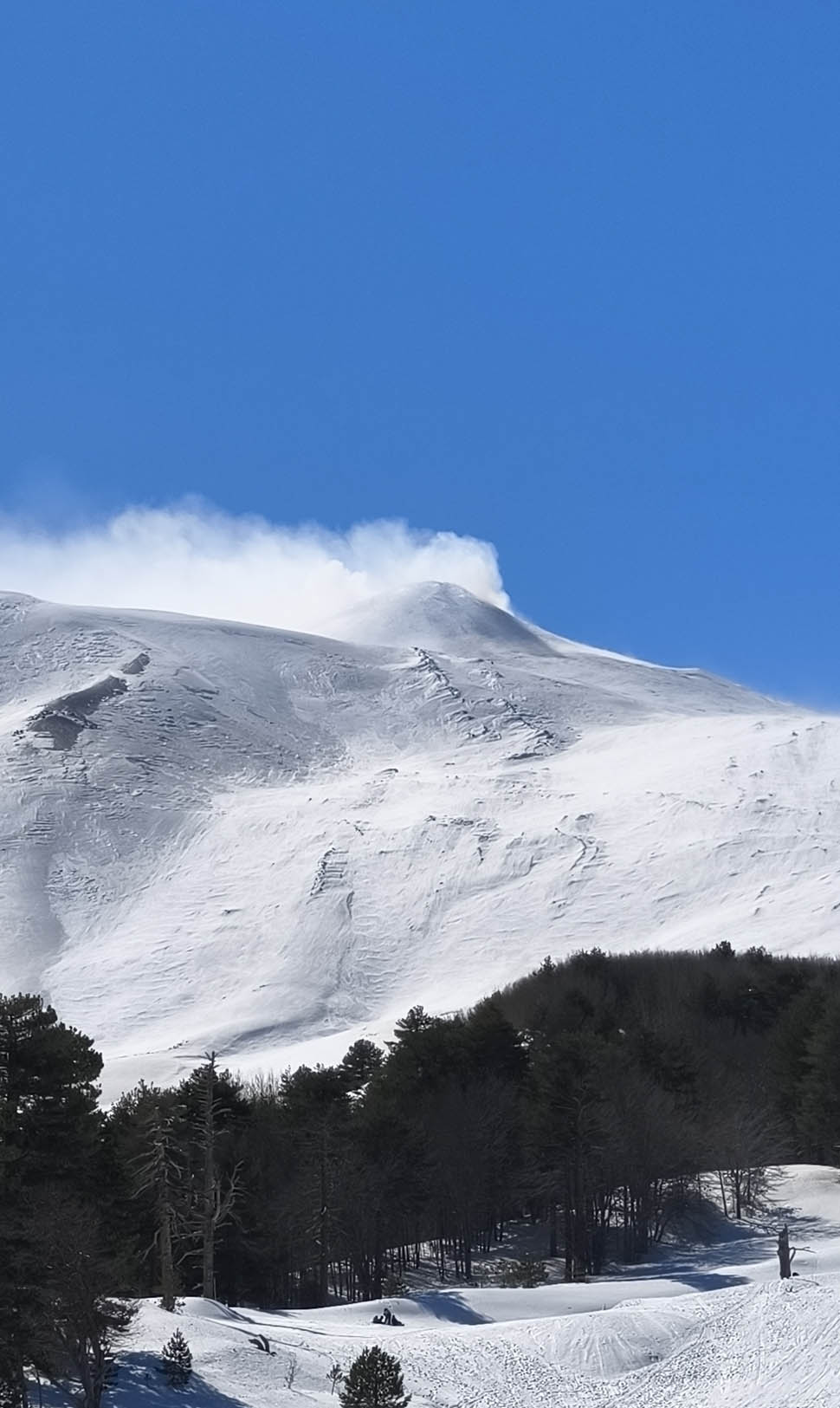 contrade etna 20