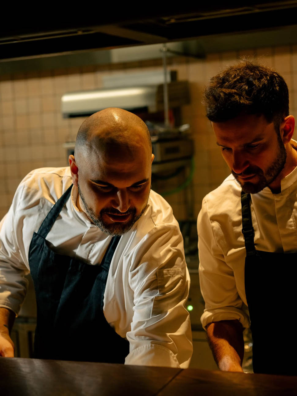 elio the hoxton 1