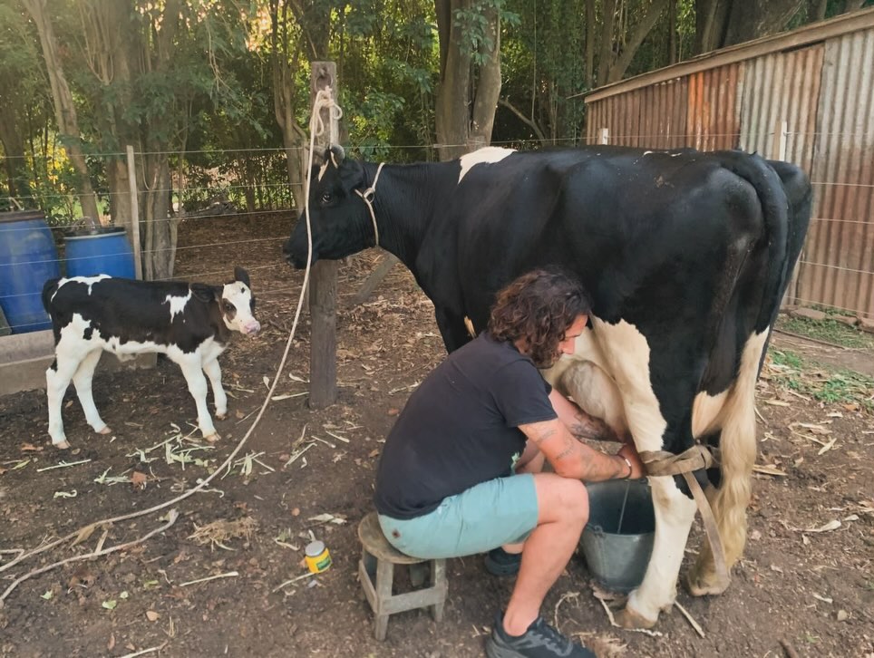 emilio sirera madre tierra 6
