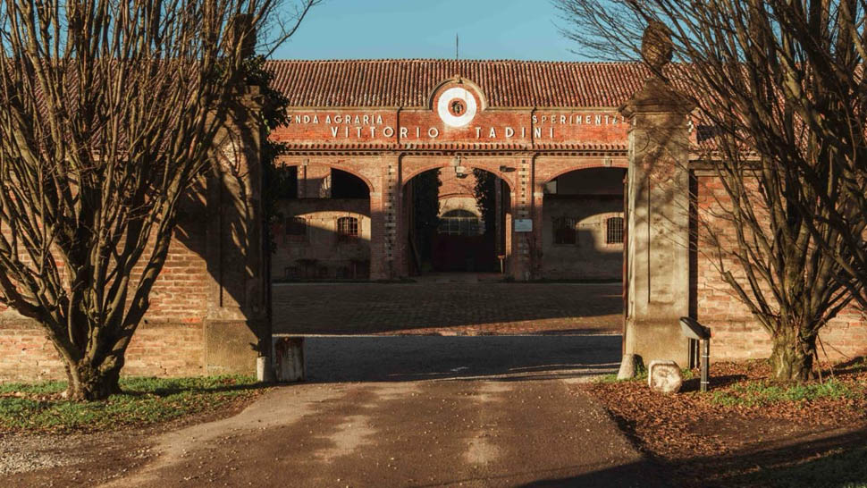 evento ostreria trippa 2