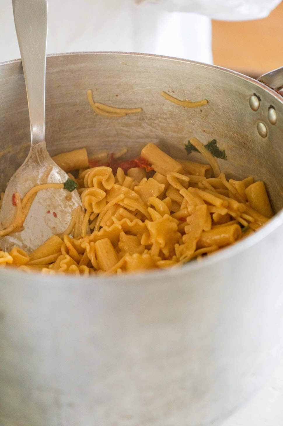 food garden 2025 mancini 3