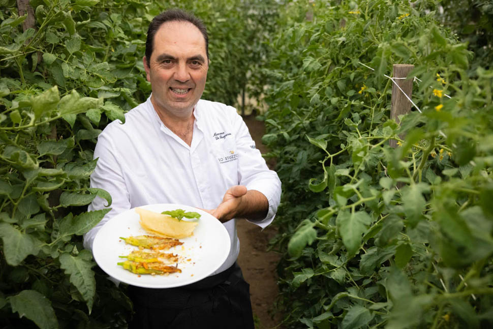 foto lo stuzzichino fiori di zucca 1