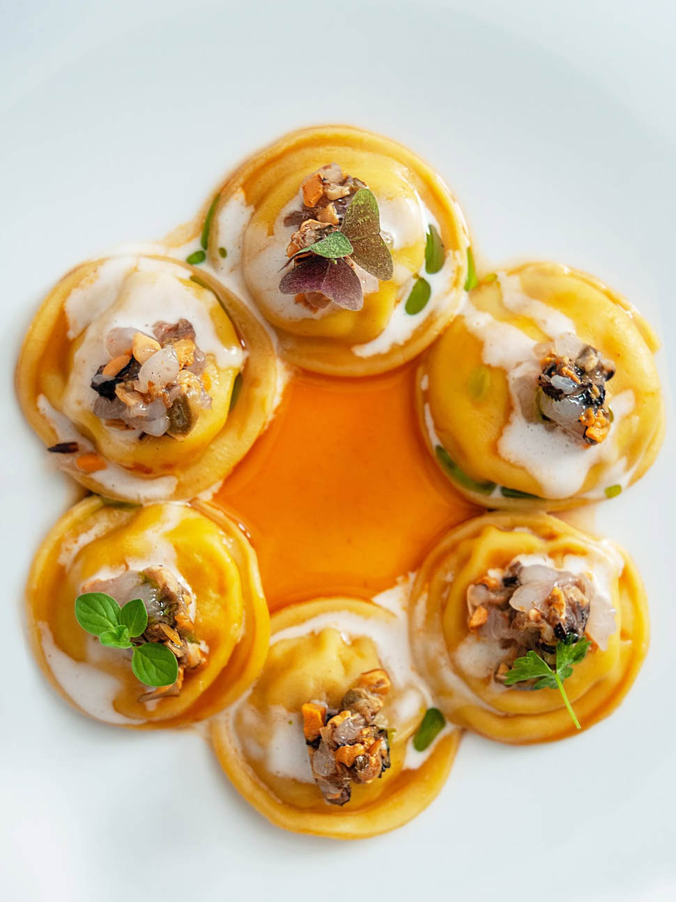 fuori rotta bottoni pescato