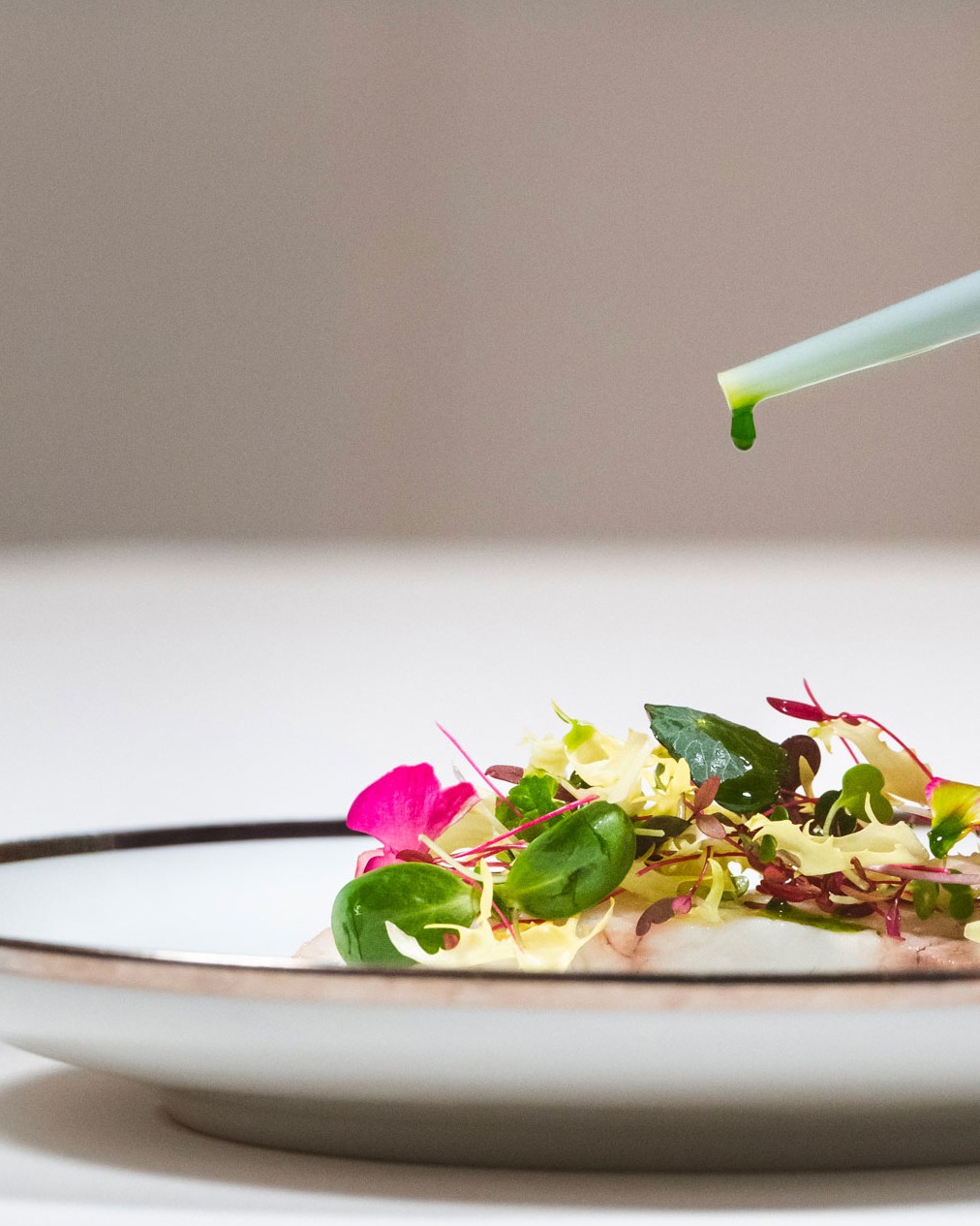 giancarlo perbellini dentice mascarpone acciughe insalata di germogli