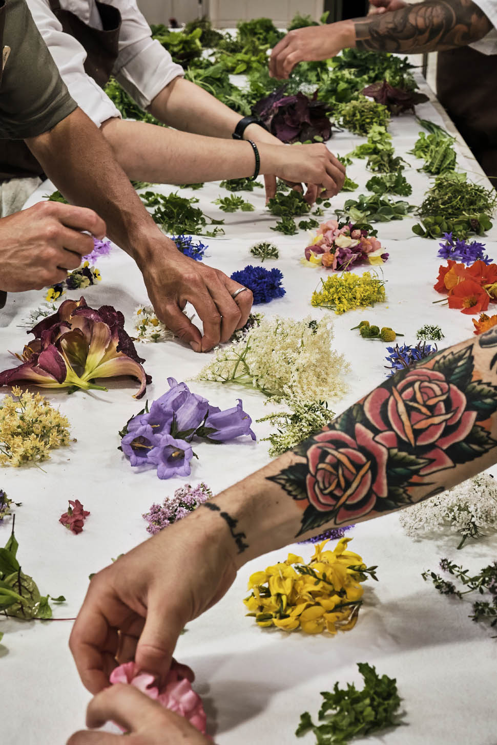 gio 3 DeNoiseAI low light