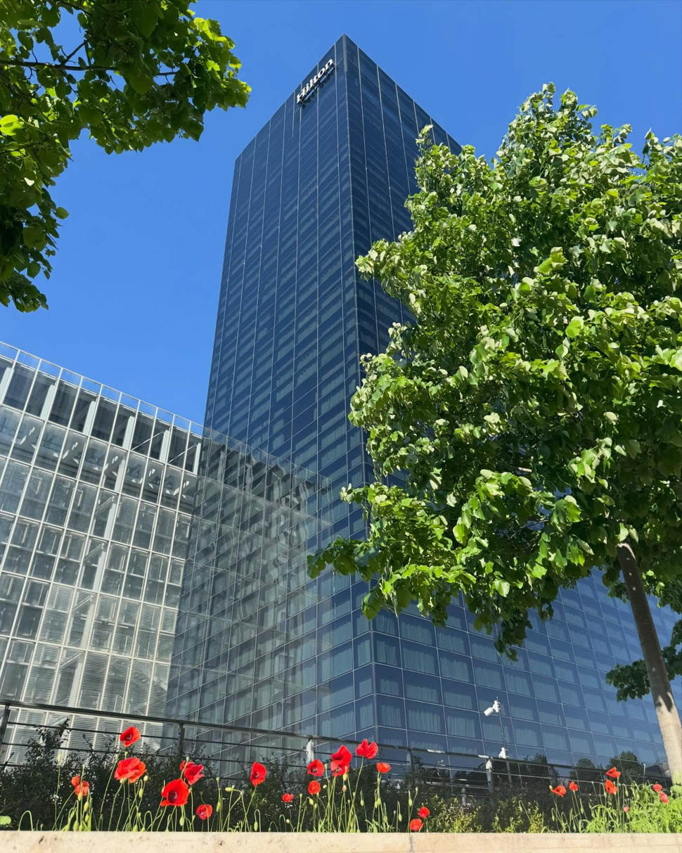 hilton la lama 2