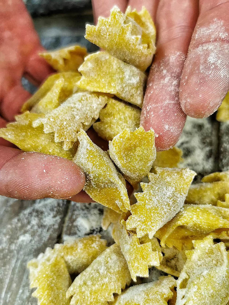 i due buoi olivola 4