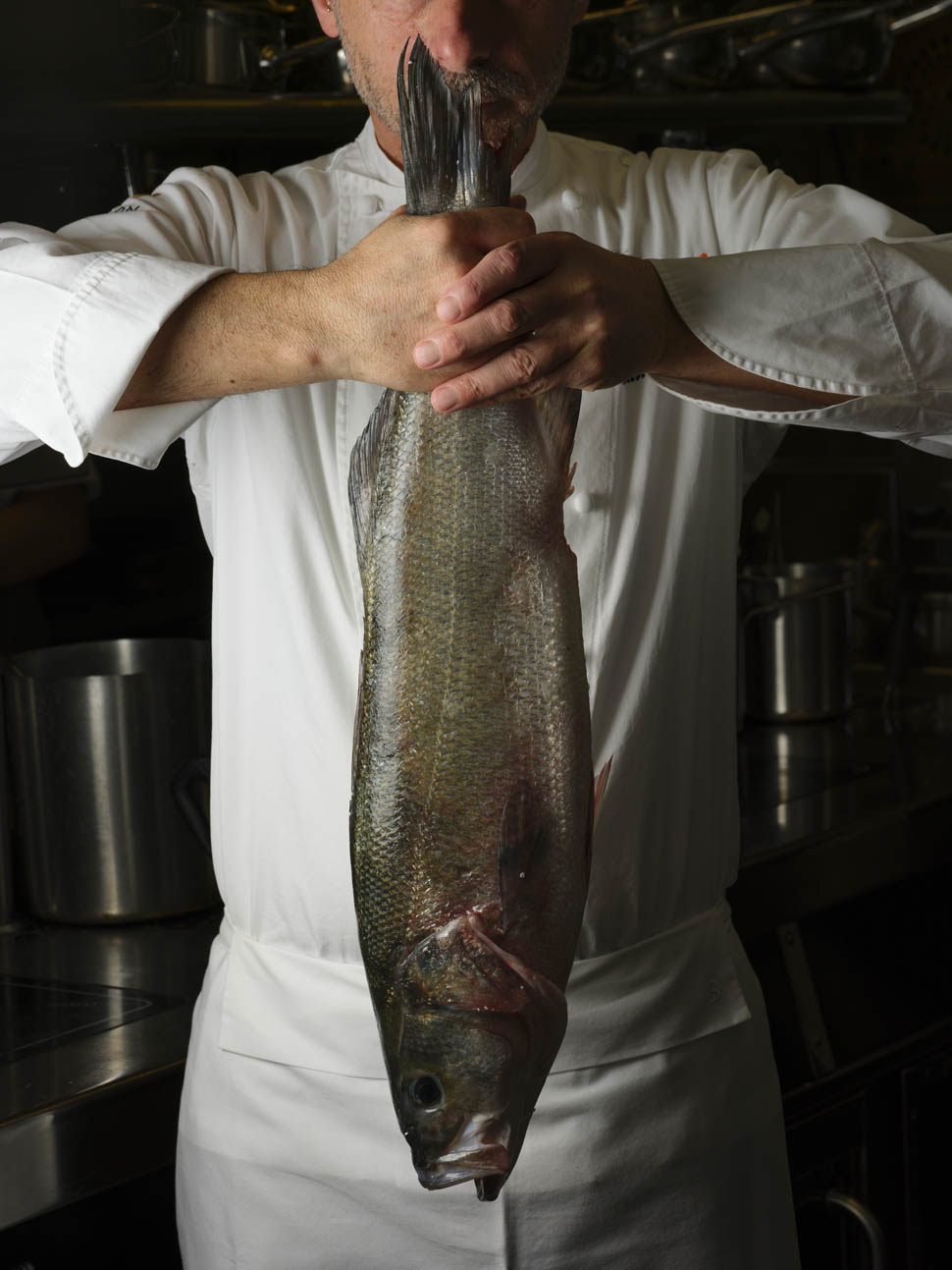 idylio by apreda AlbertoBlasetti 2