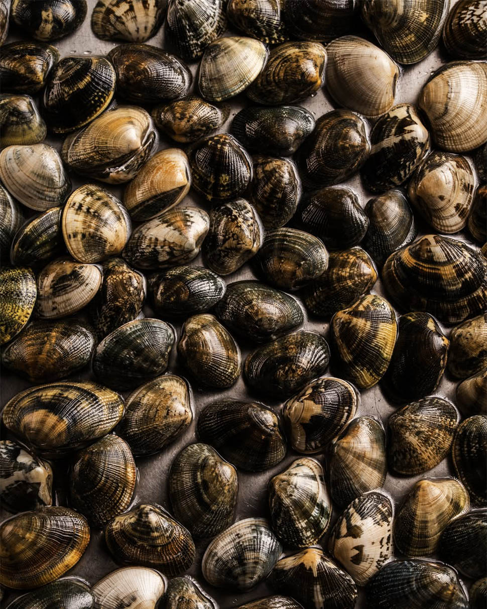 idylio capellini e vongole alla brace2