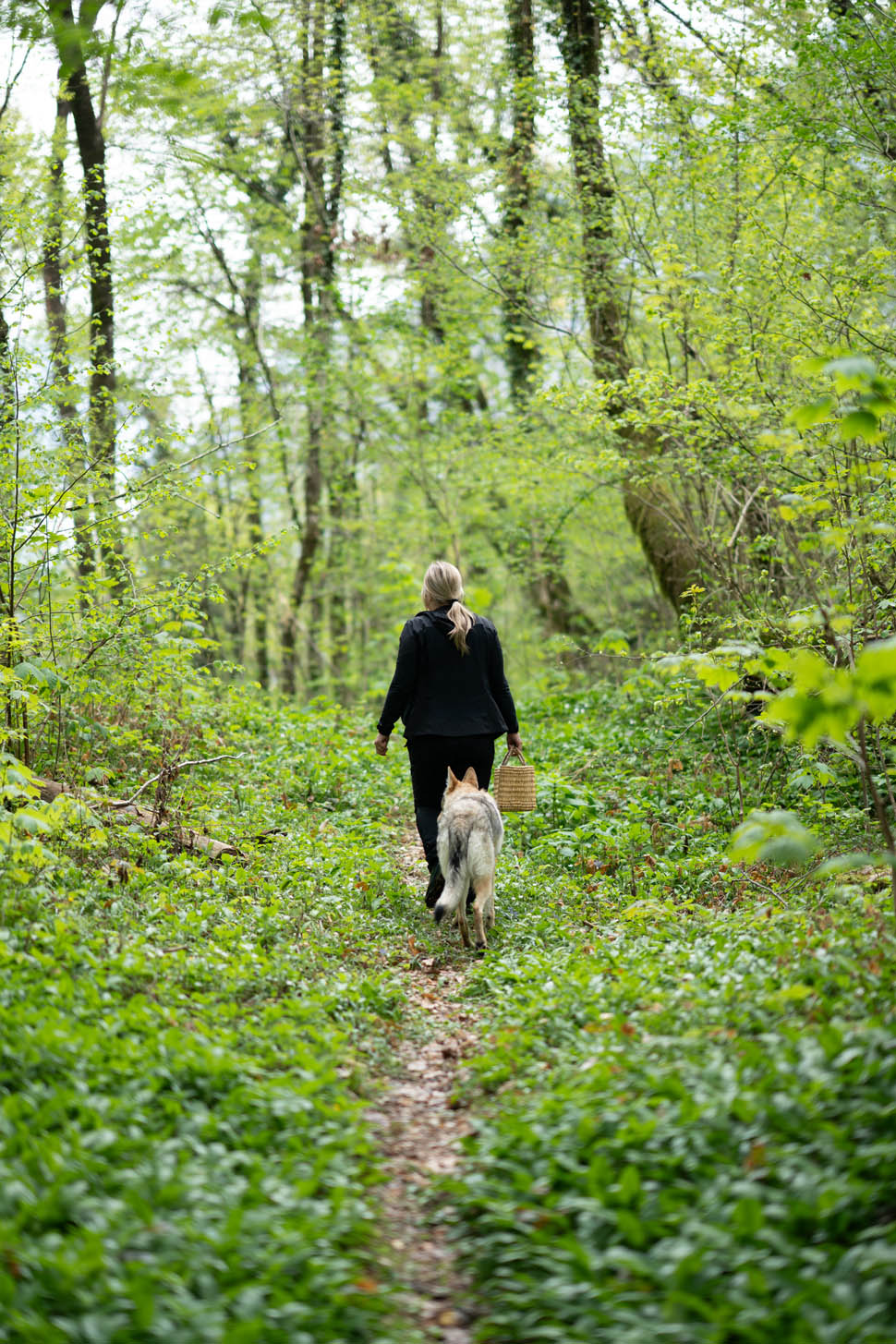 indinio foraging 3