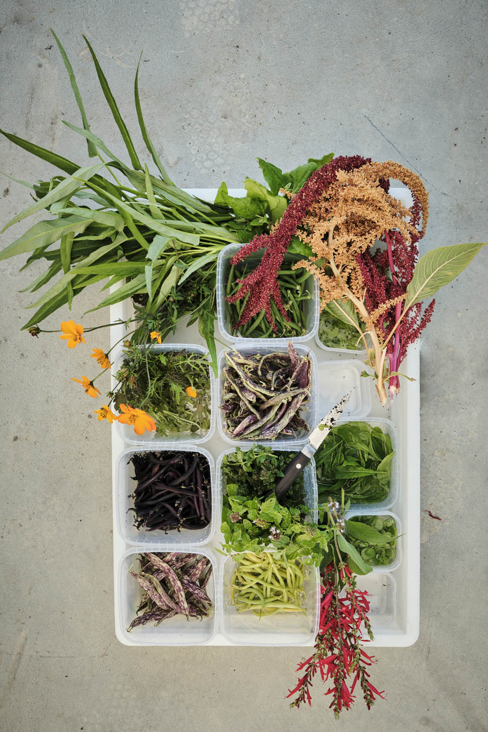 la rei natura Serra 2