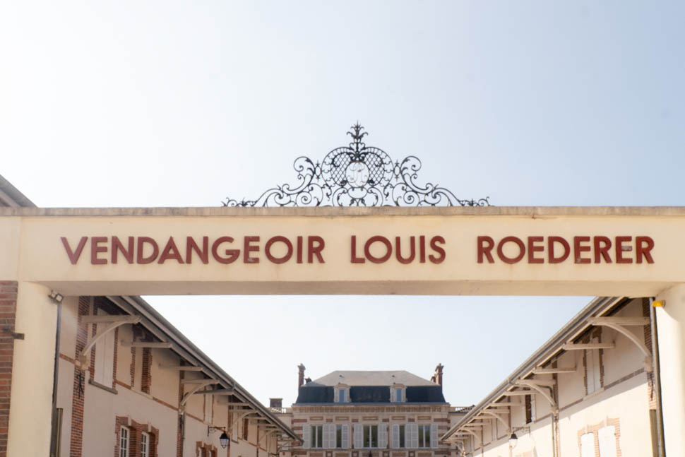 louis roederer 6