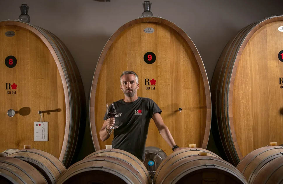 luca baccarelli cantina roccafiore 1 1