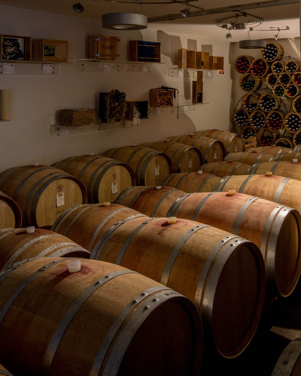 luca baccarelli cantina roccafiore 4