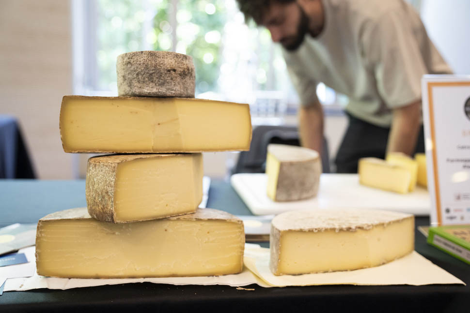 maitre fromager 1