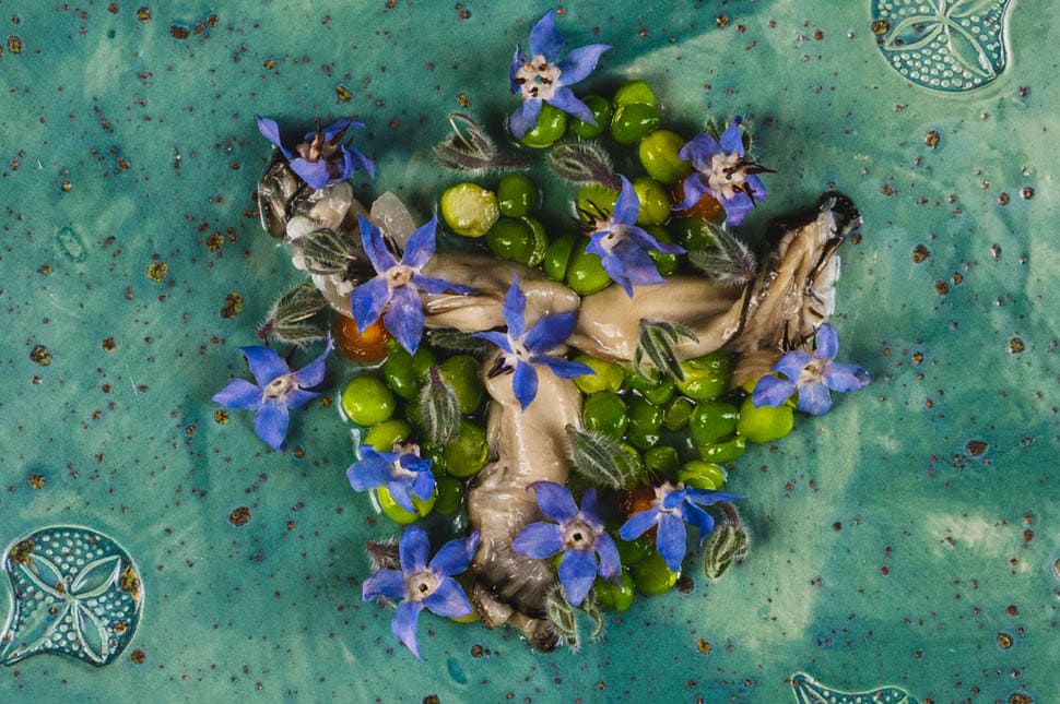 matias perdomo Piselli albicocca pomodoro fiori di borragine e ostriche 1