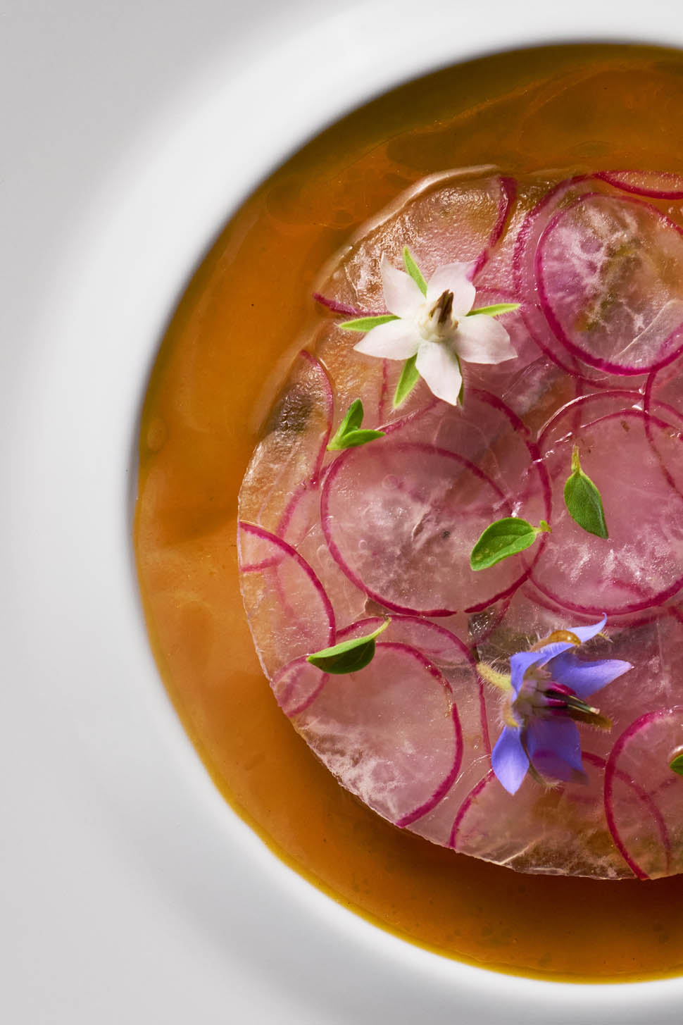 michelangelo mammoliti Trasparenza vegetale