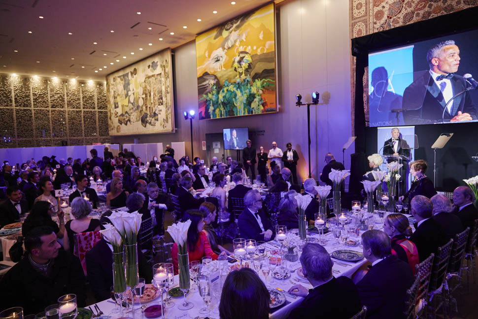 michele casadei massari onu 9