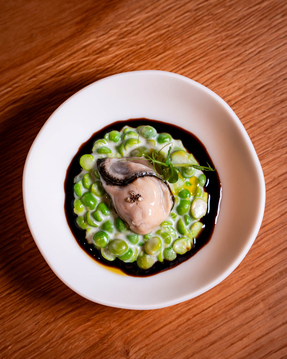 moebius sperimentale 1 2026 04 04 01 17 48