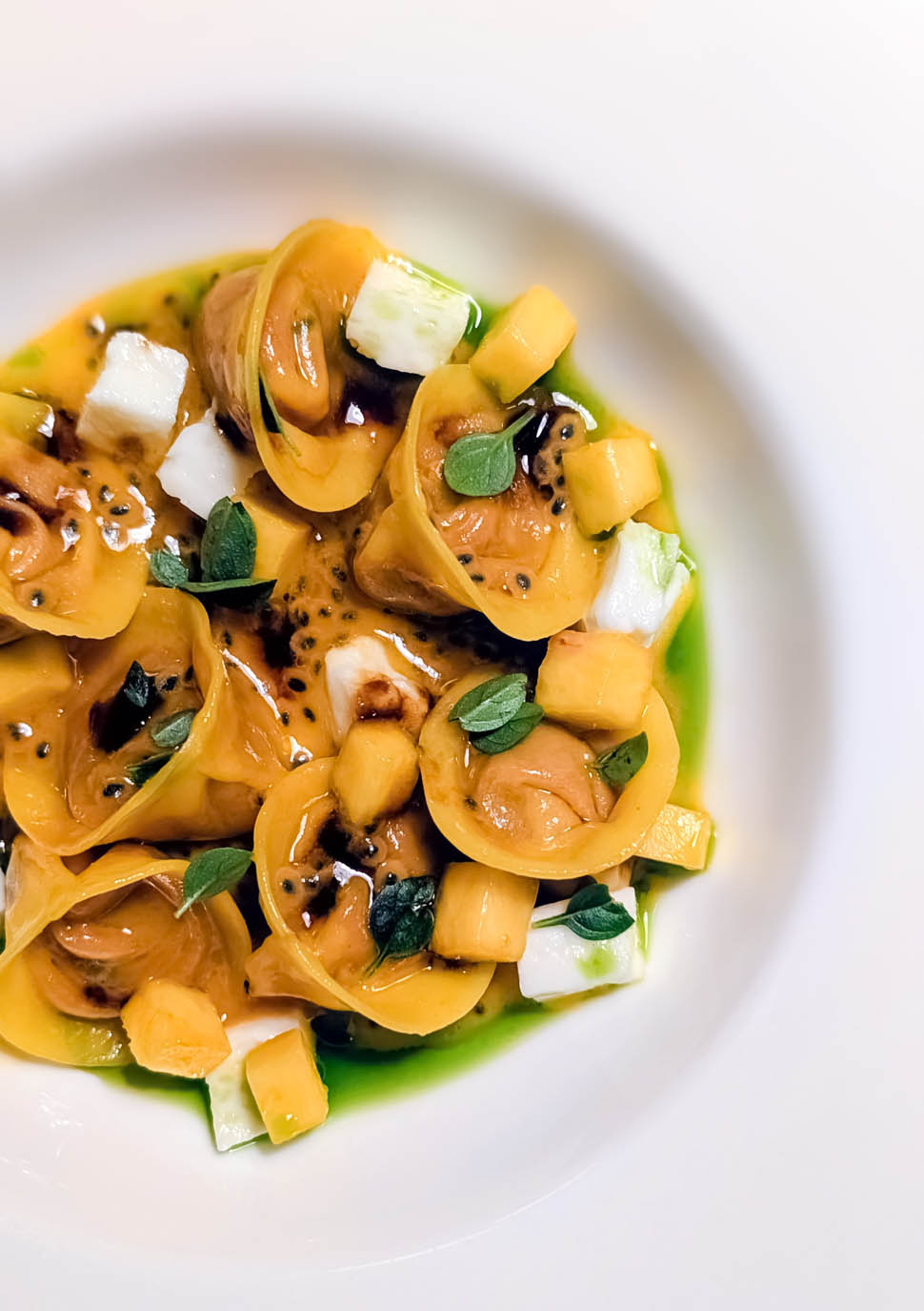 moma tortellino