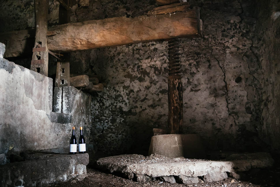 monte ilice ancient winery