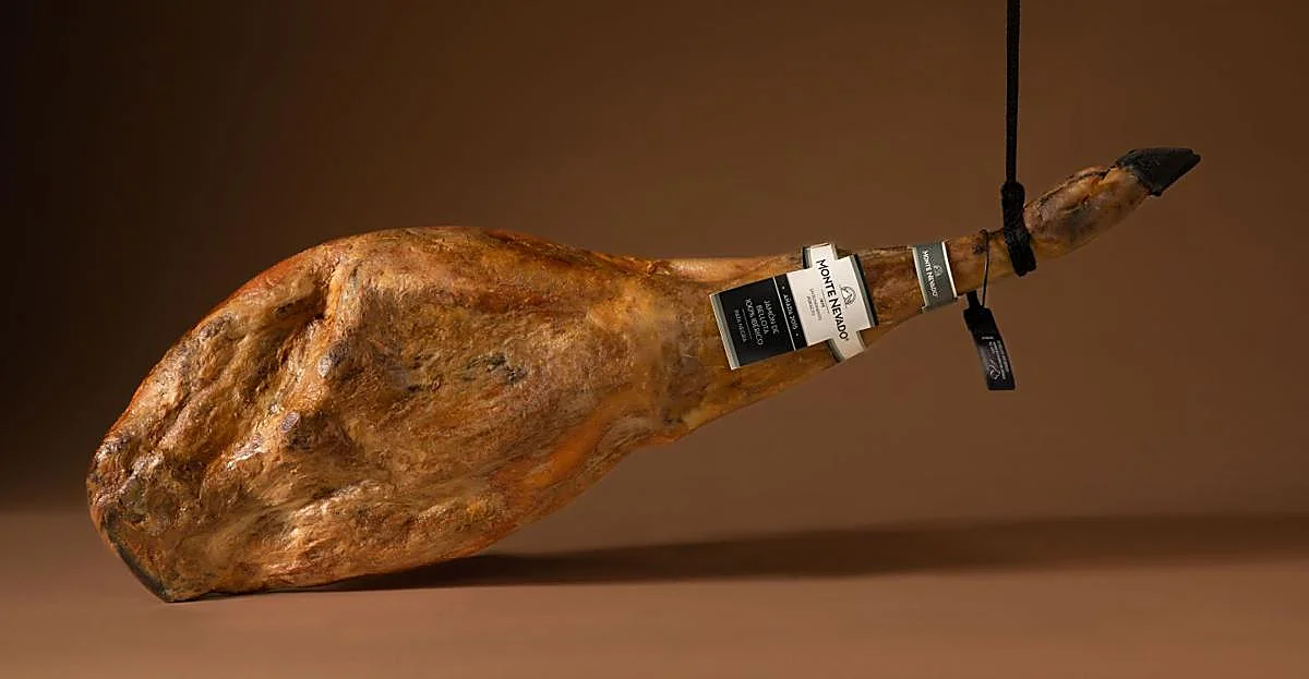 monte nevado 1 2026 01 06 18 58 47