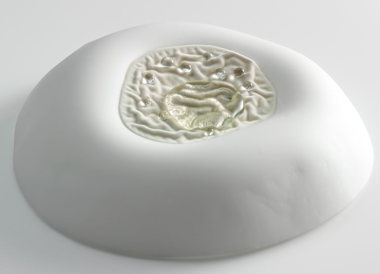mugaritz piatto