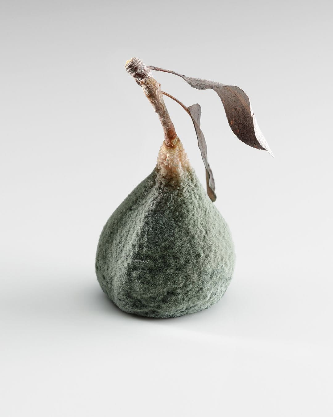 mugaritz piatto2