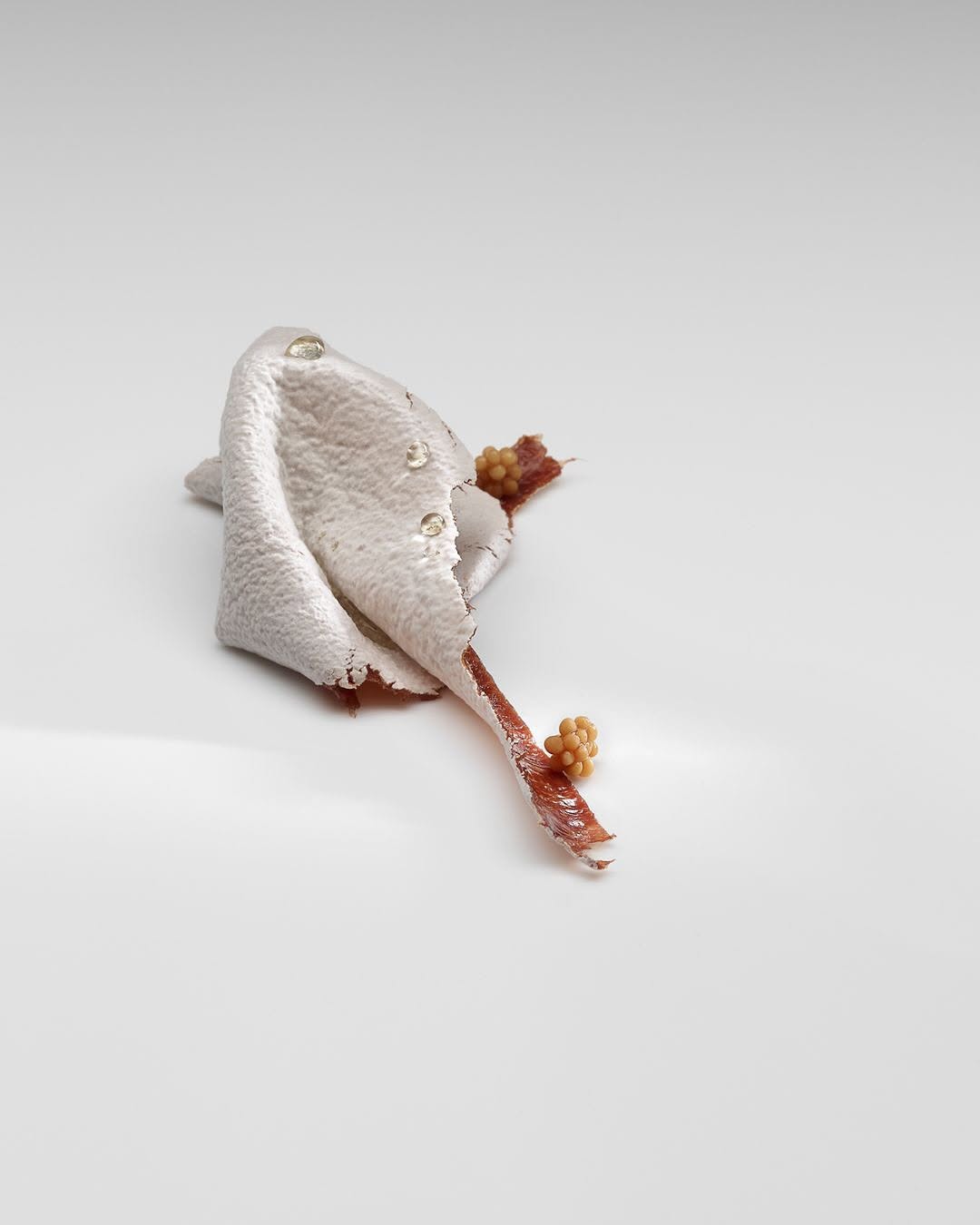 mugaritz piatto 2026 07 13 11 38 32
