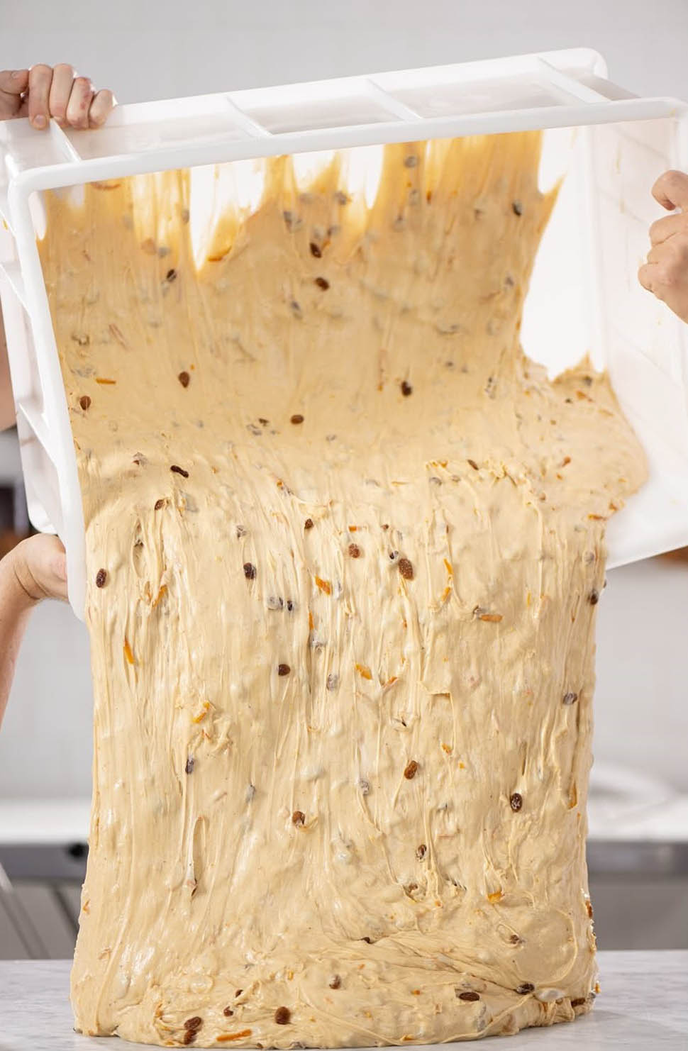 natale niko romito andreastraccini 3