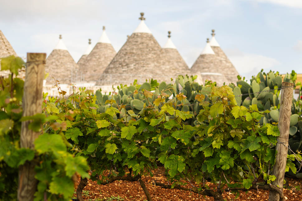 nina trulli resort 19