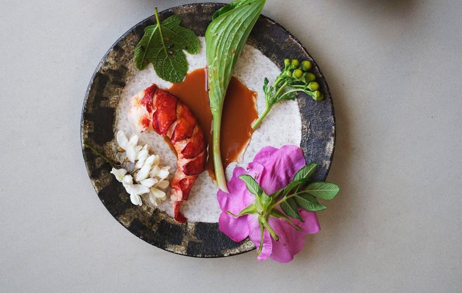 noma 2025 08 19 12 29 20