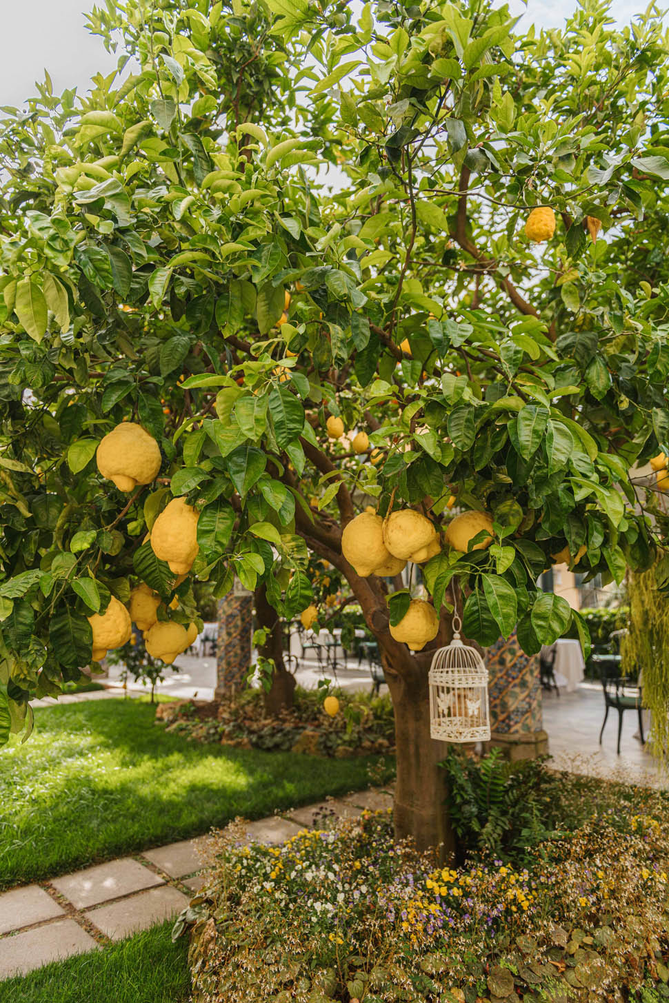 o parrucchiano sorrento 1