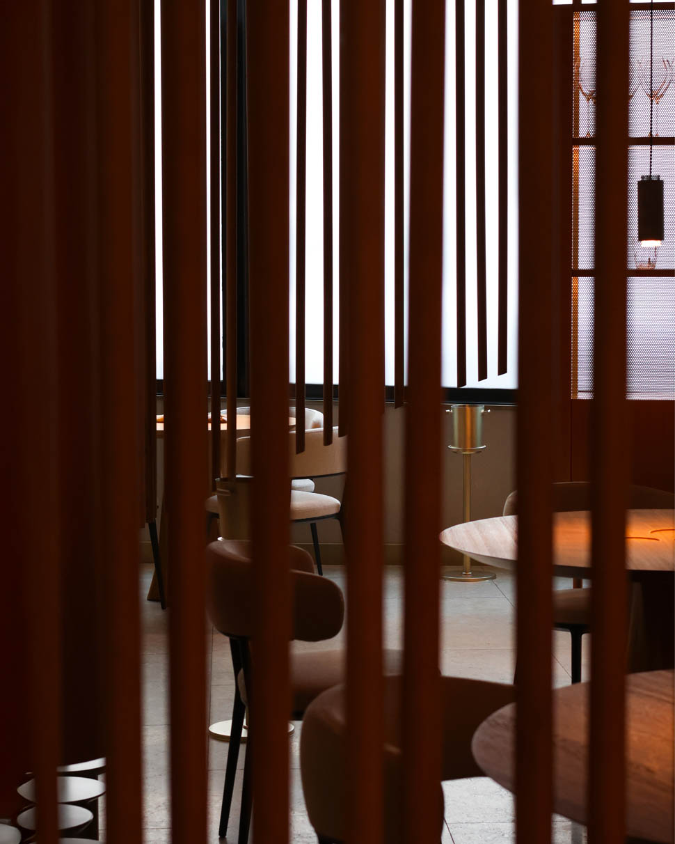 orma roma Sara Scanderebech x Cultivar 11