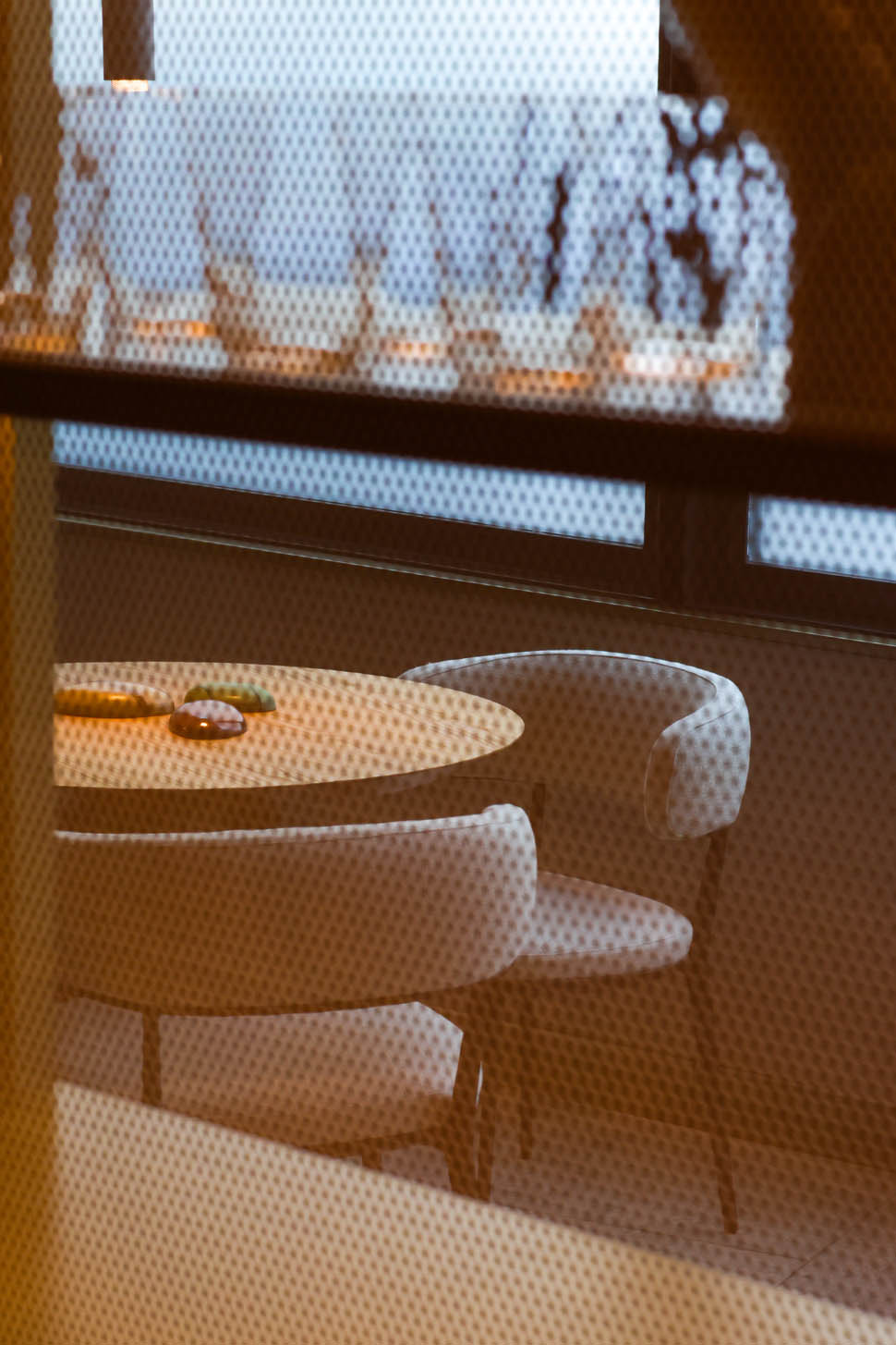 orma roma Sara Scanderebech x Cultivar 13