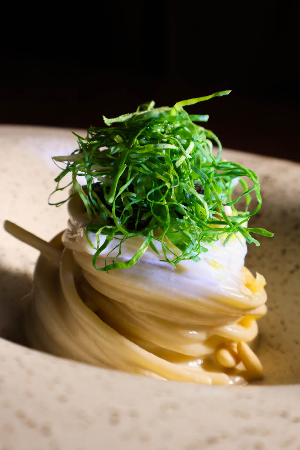 orma roma Sara Scanderebech x Cultivar 14