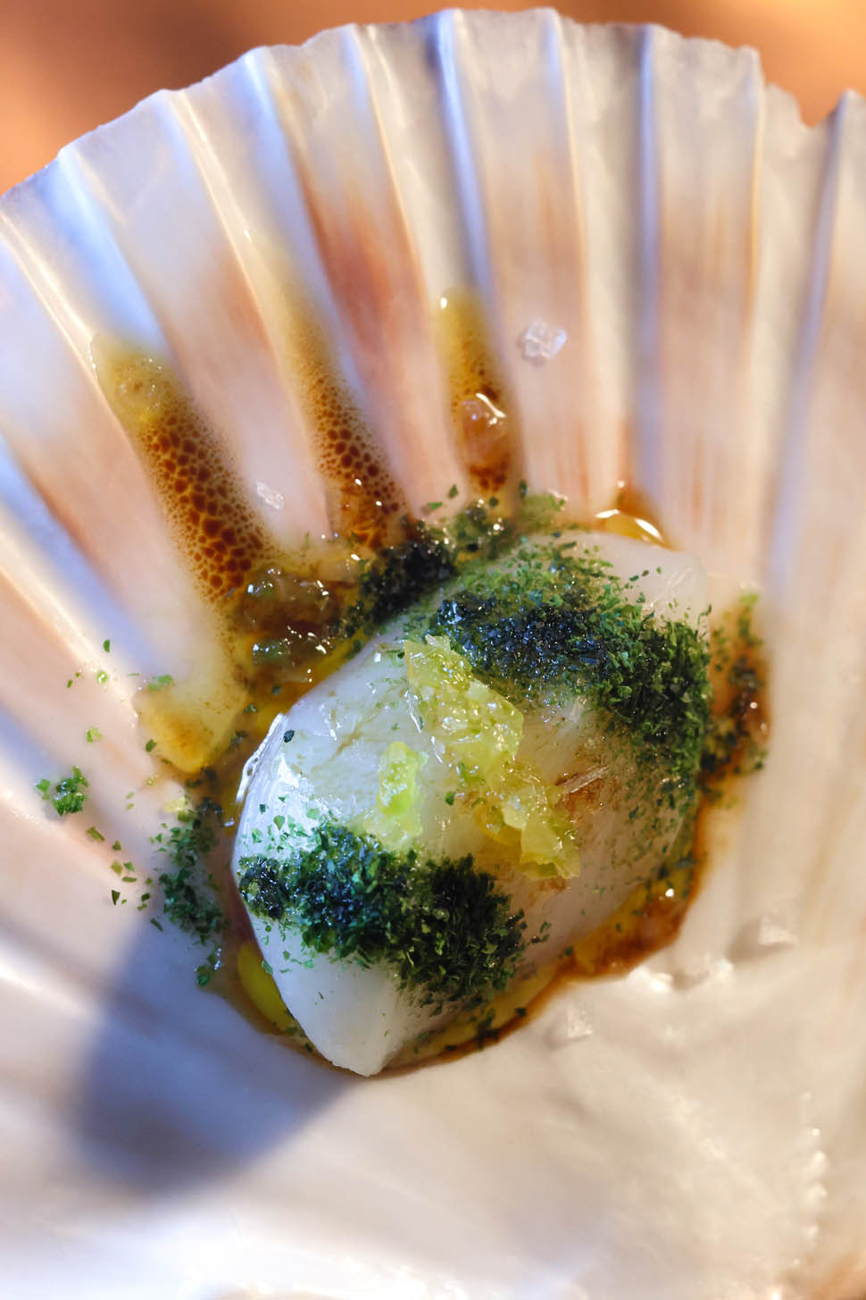 orma roma Sara Scanderebech x Cultivar 3