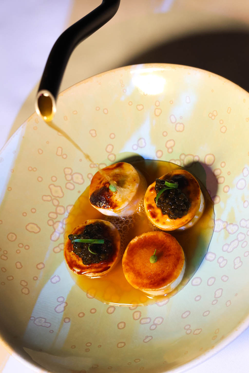 orma roma Sara Scanderebech x Cultivar 6