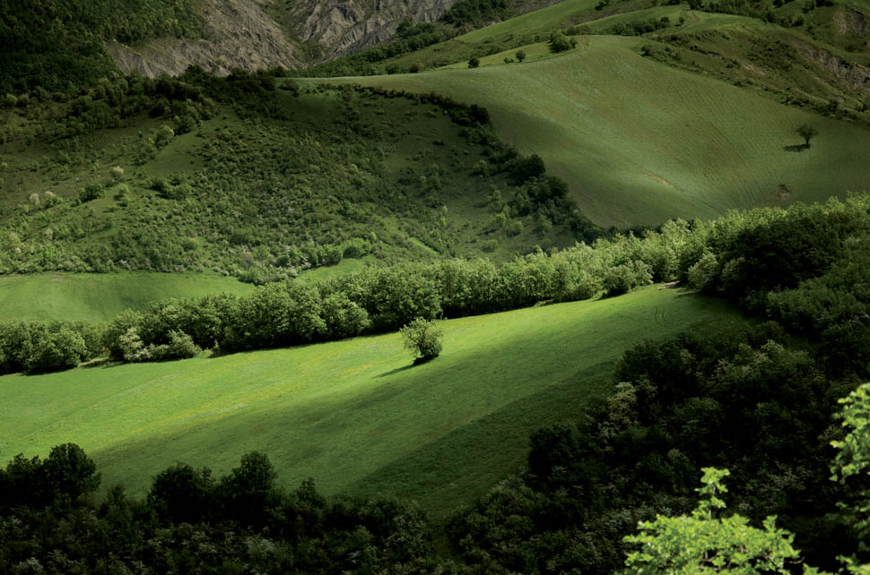 paesaggio reggio emilia