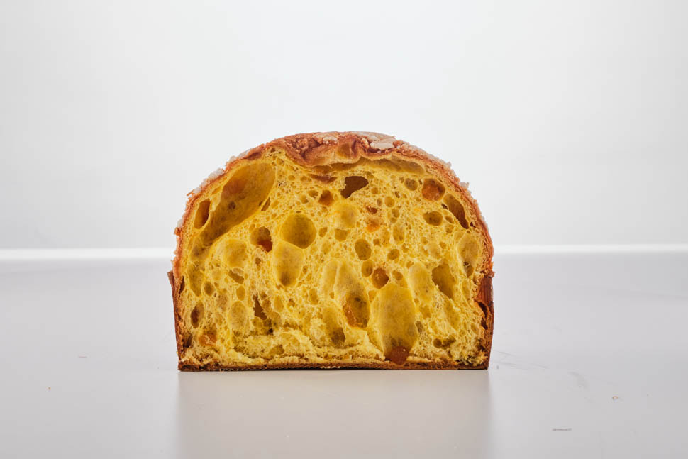 panettone michelangelo mammoliti 1