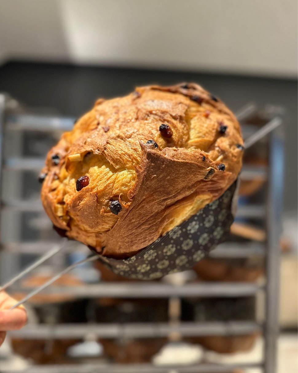 panettone uliassi 2024 12 05 03 27 44